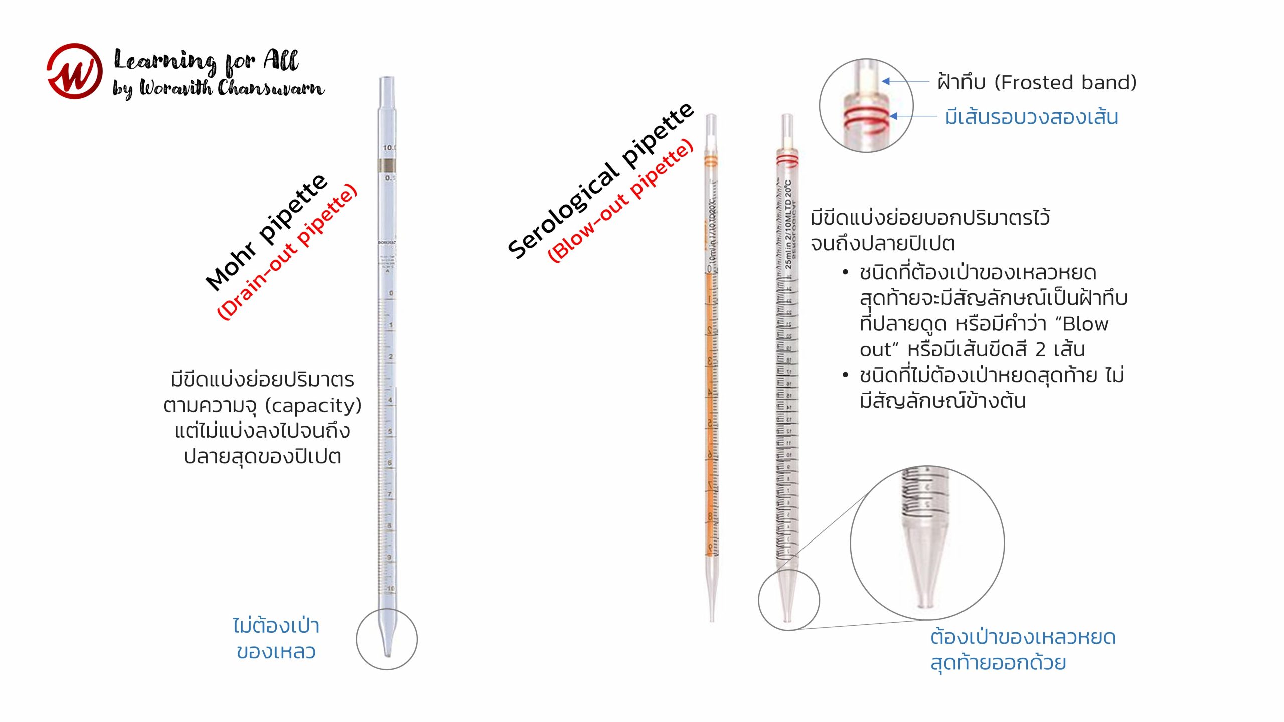 Mohr and Serological pipettes