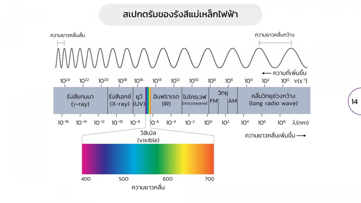 Spectro (14)