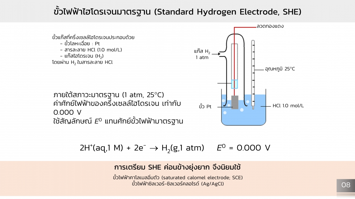 CellEC-9