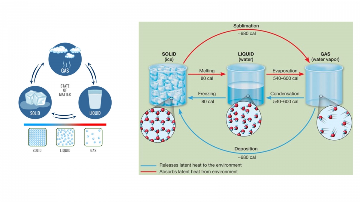 EnvironChem-26