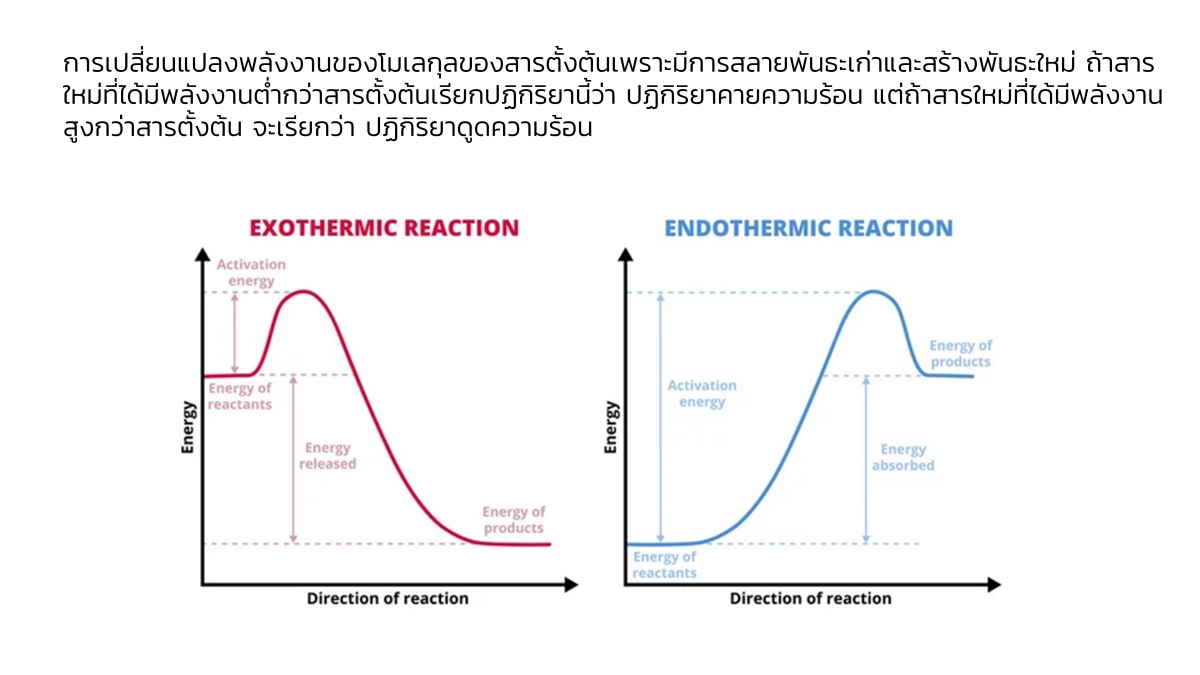 Kinetics-11