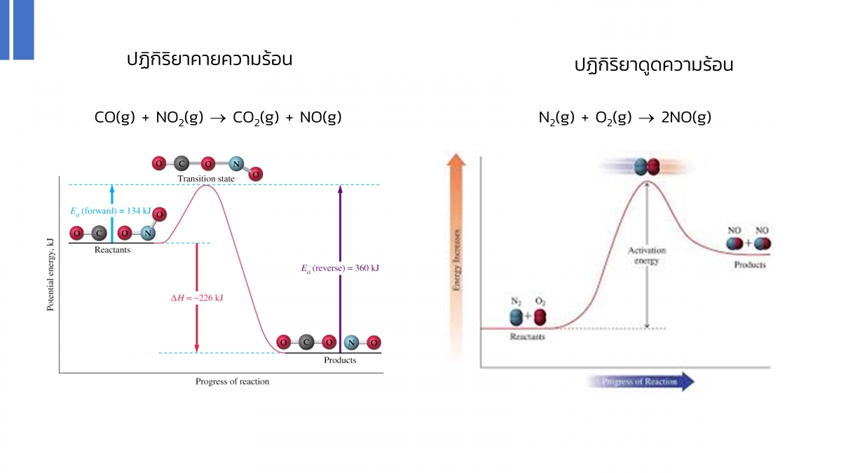 Kinetics-12