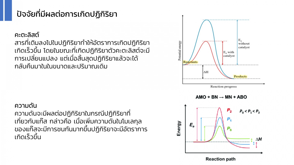 Kinetics-20