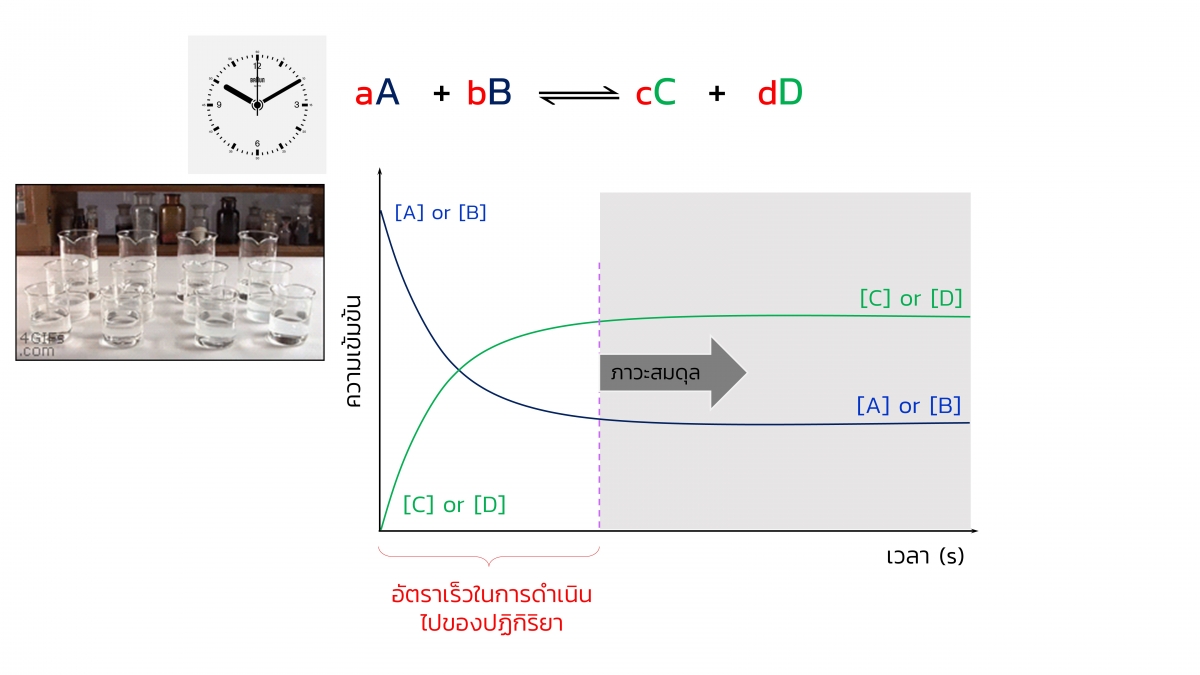 Kinetics-4