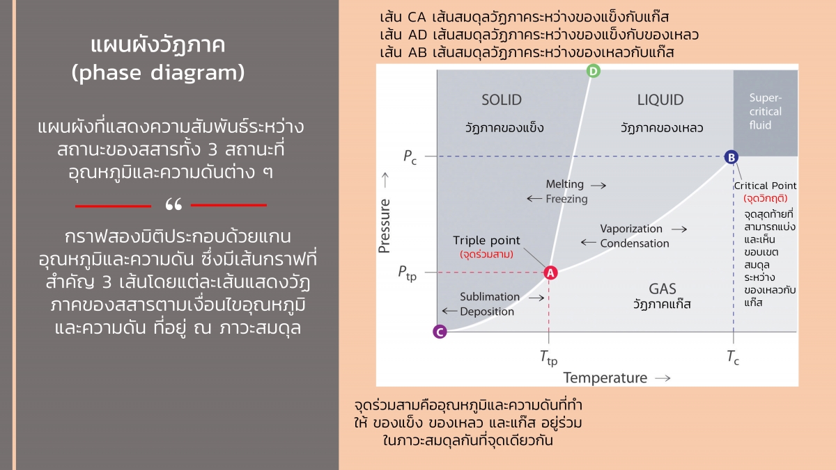 Liquid-11