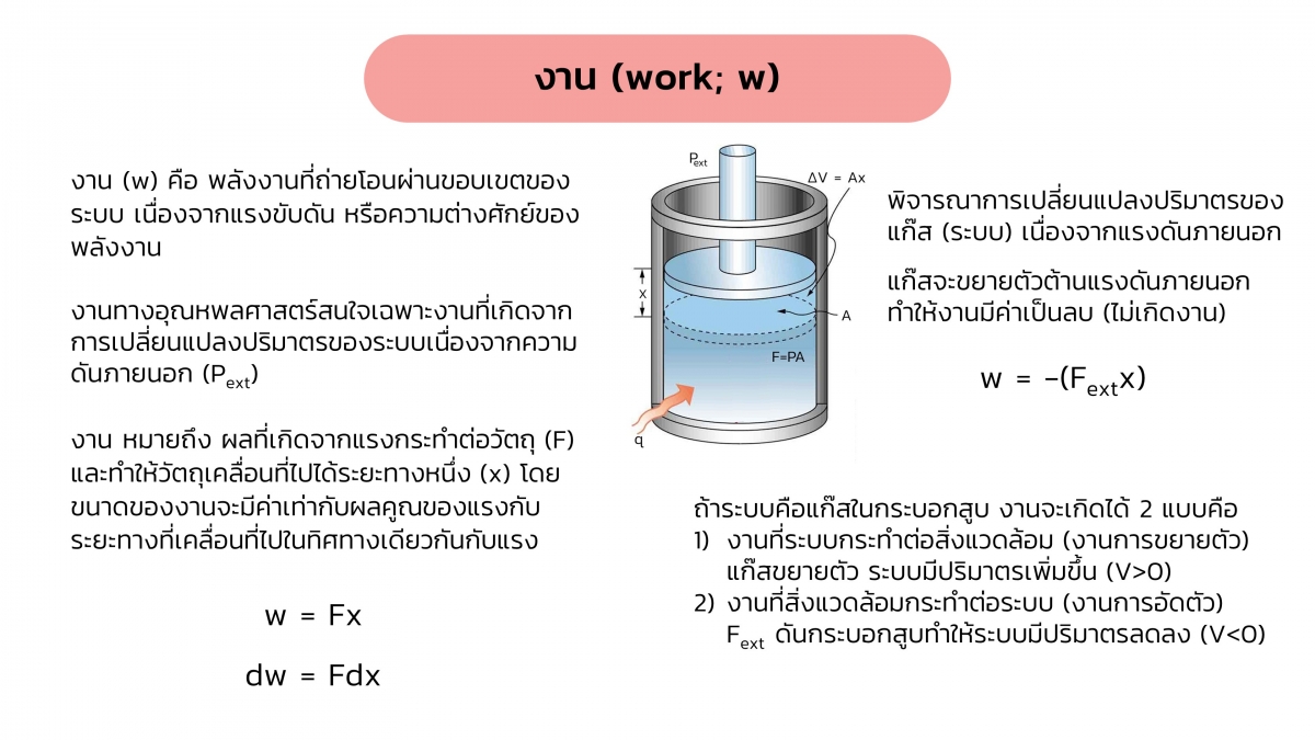 Thermo-11