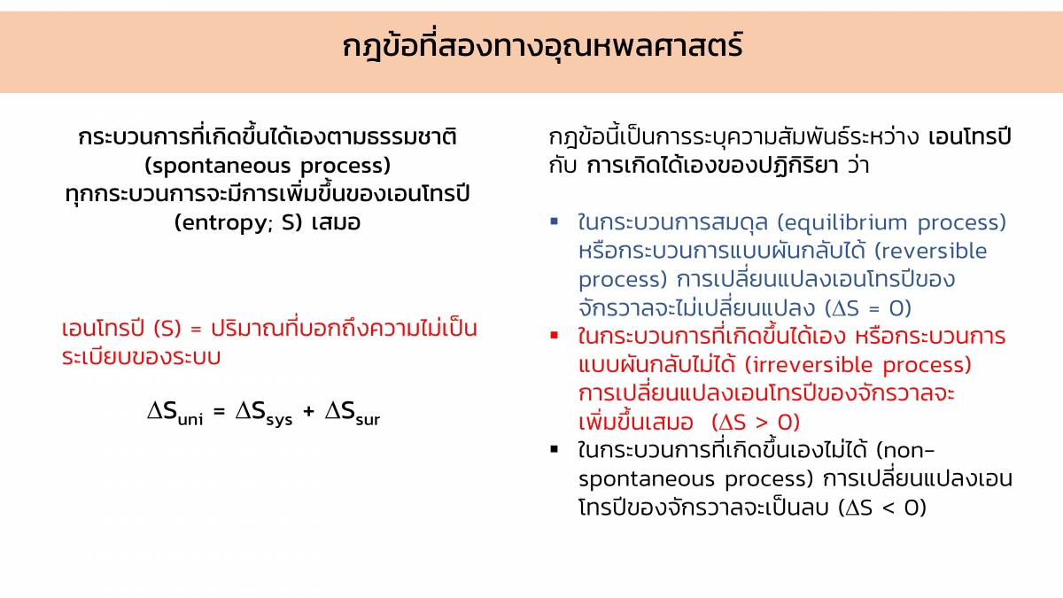 Thermo-12