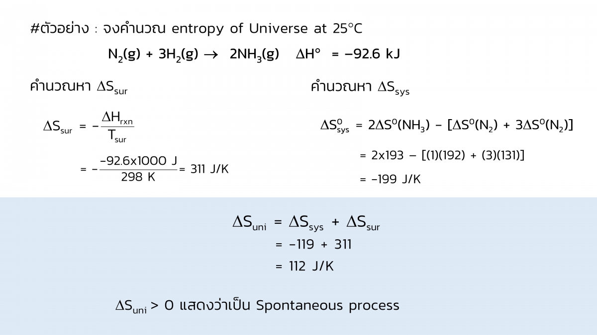 Thermo-20