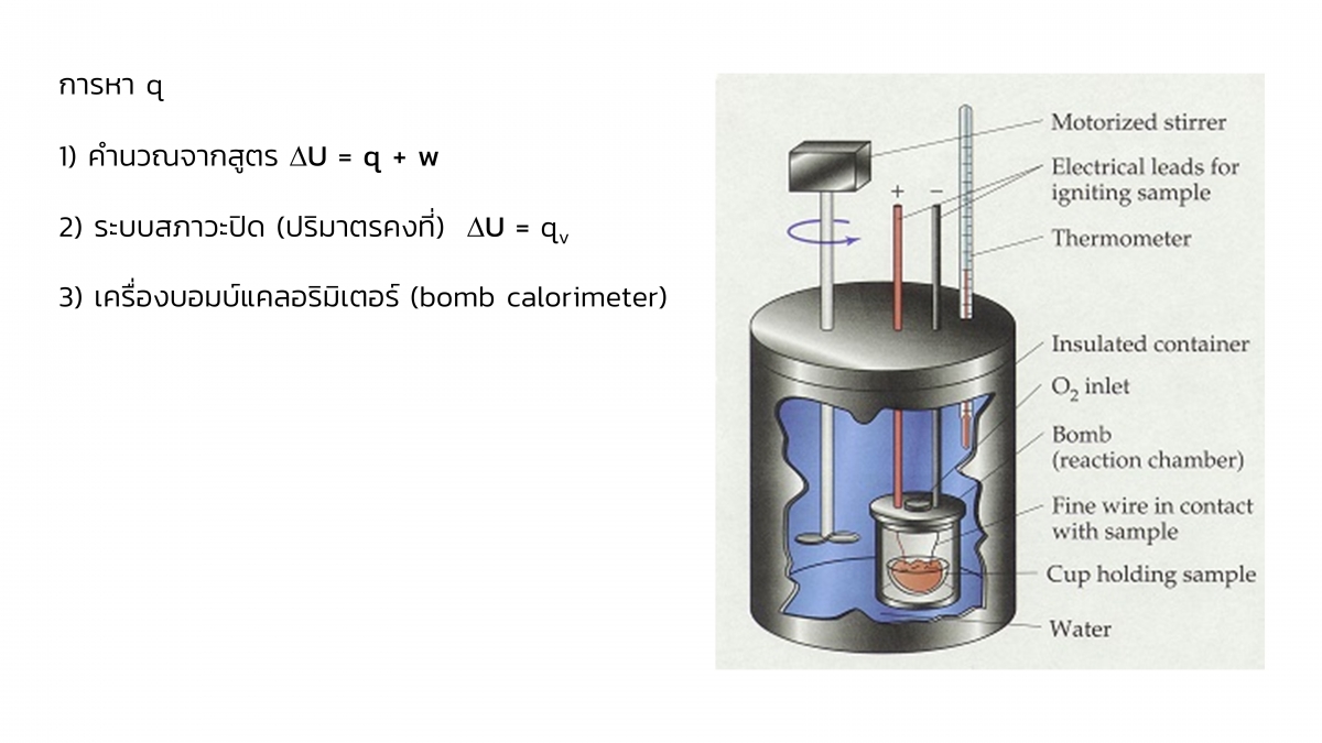 Thermo-9