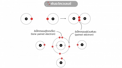 EngChem Bonding (14)