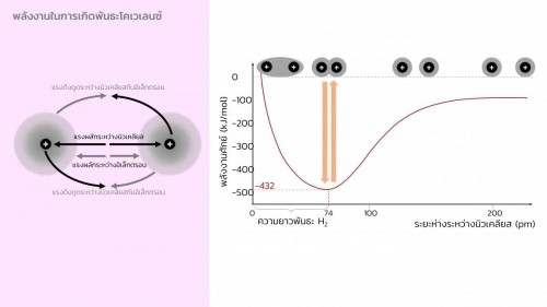 EngChem Bonding (15)