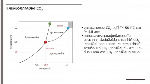 EngChem Liquid (12)