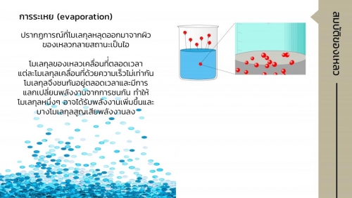 EngChem Liquid (5)