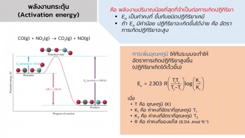 EngChem Kinetics (8)