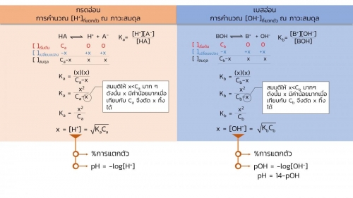 EngChem Acidbase (14)