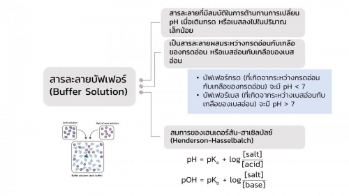 EngChem Acidbase (24)