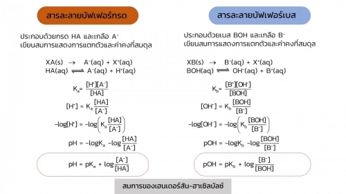 EngChem Acidbase (25)