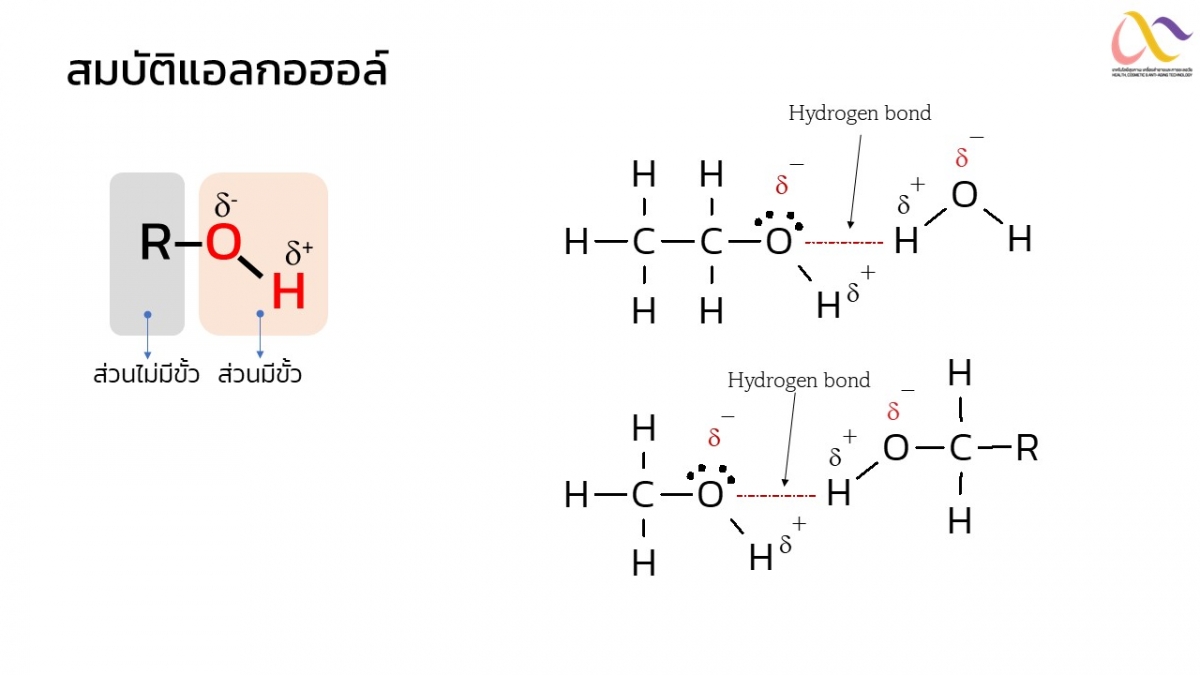 alcohol-7