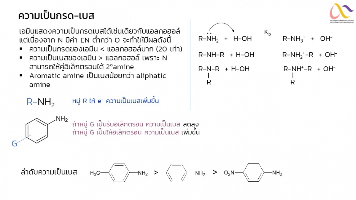 Amine-10