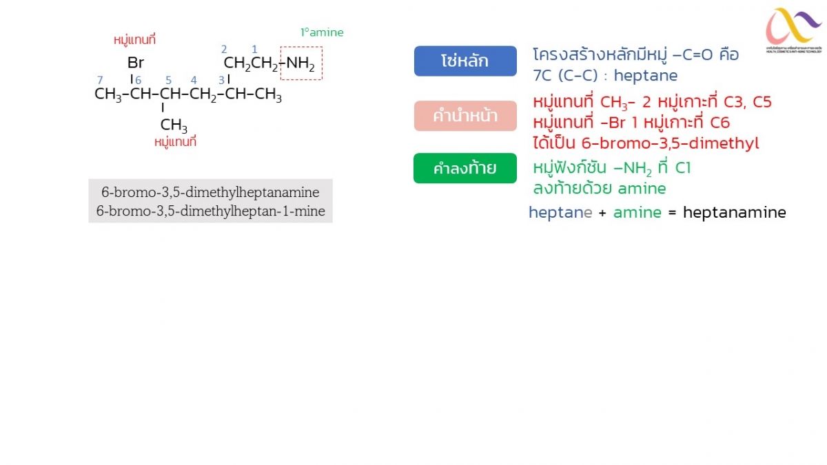 Amine-13