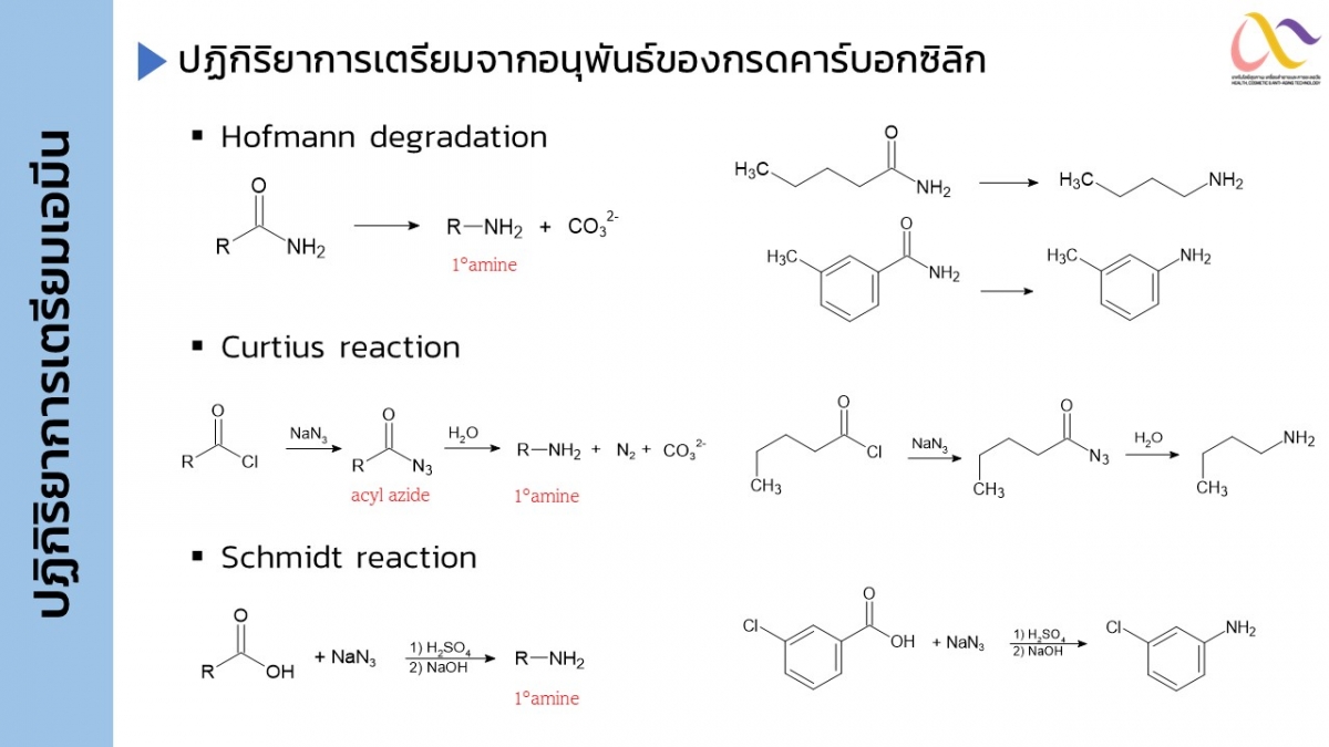 Amine-25