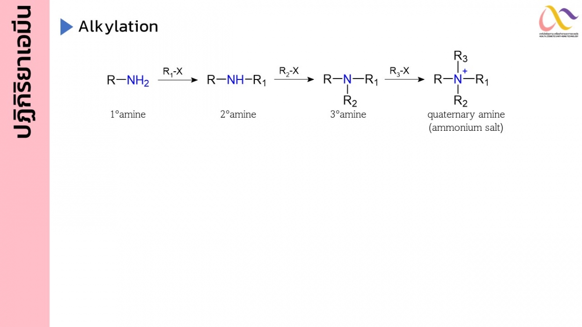 Amine-27