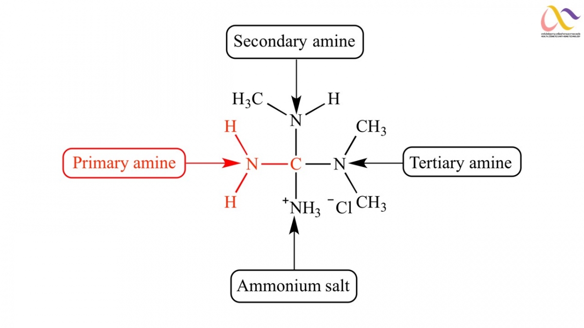 Amine-4