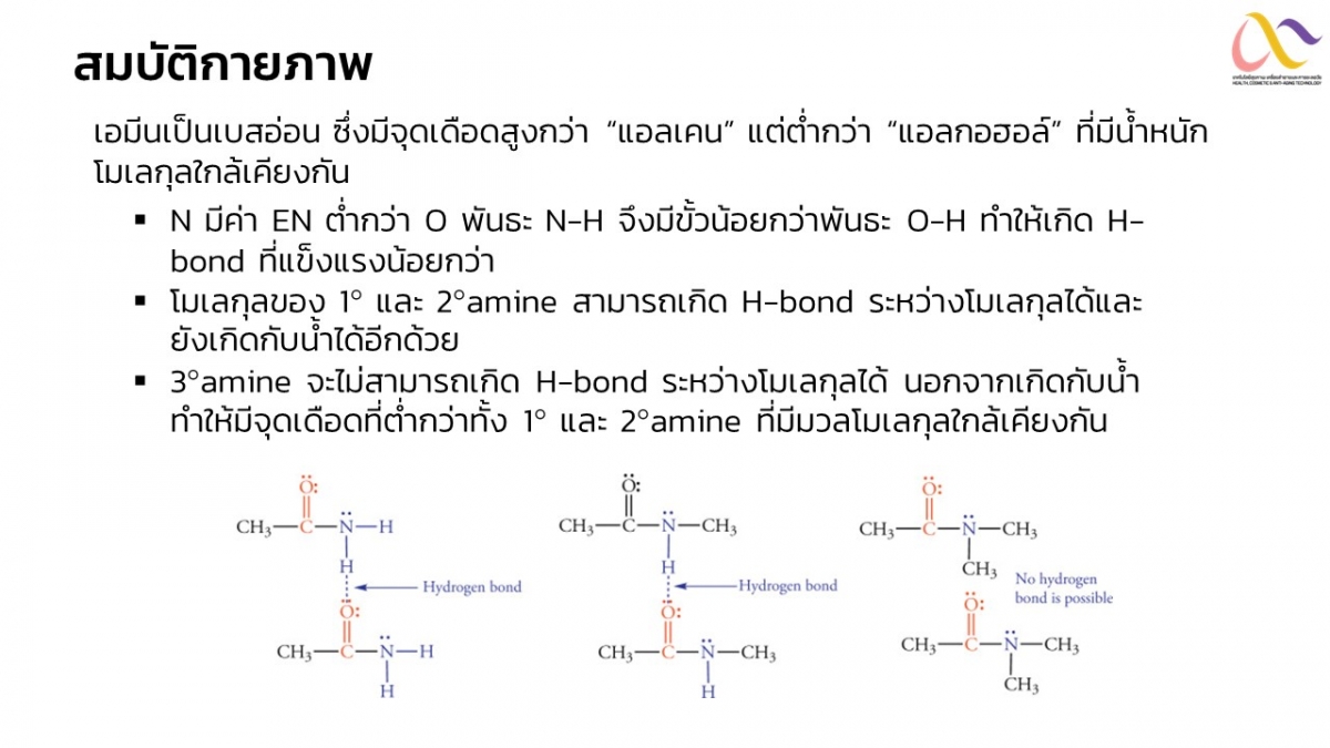 Amine-6