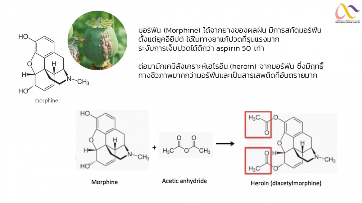 Amine-9