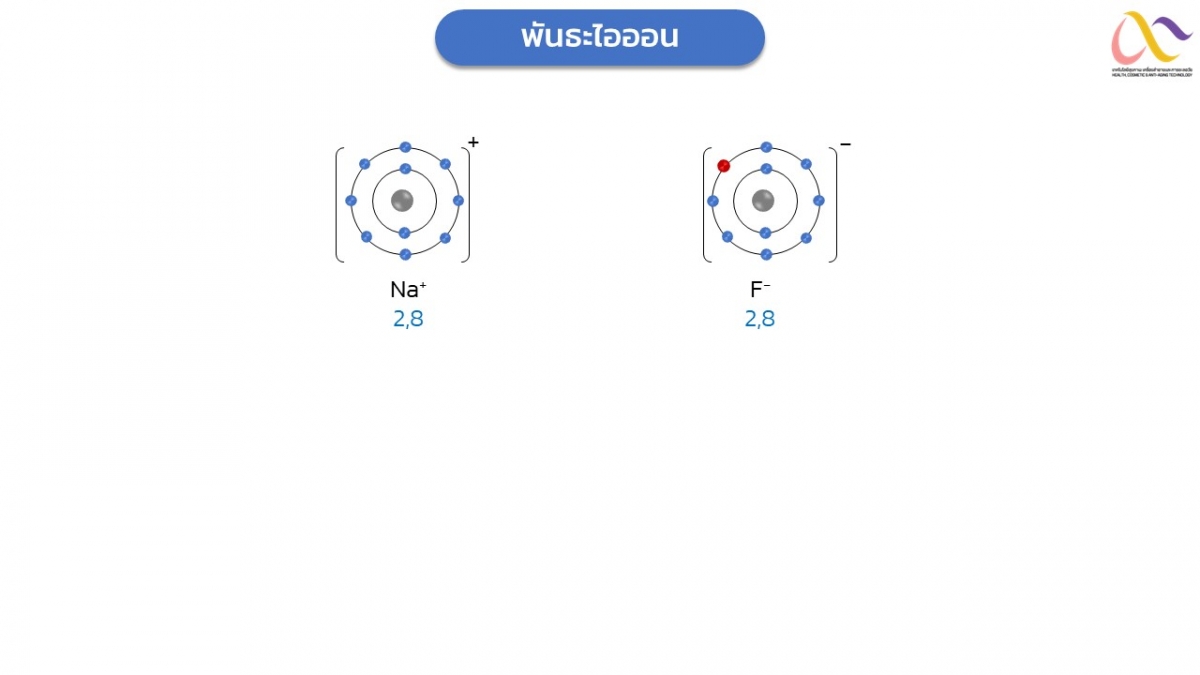 Basic-Chem-28