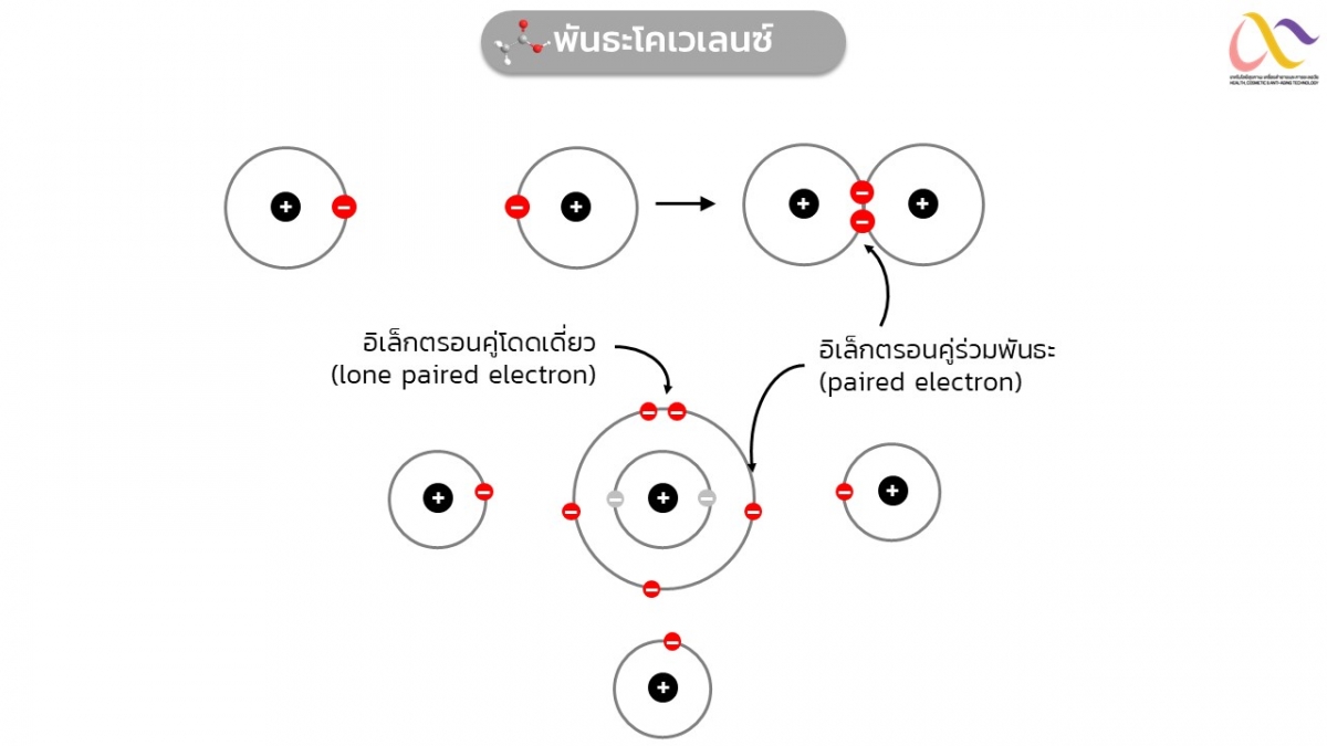 Basic-Chem-29