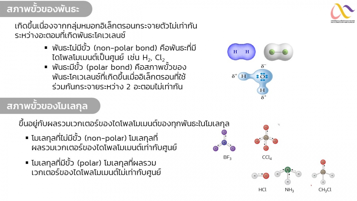 Basic-Chem-34