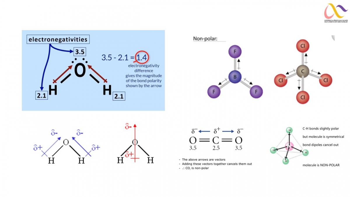 Basic-Chem-35