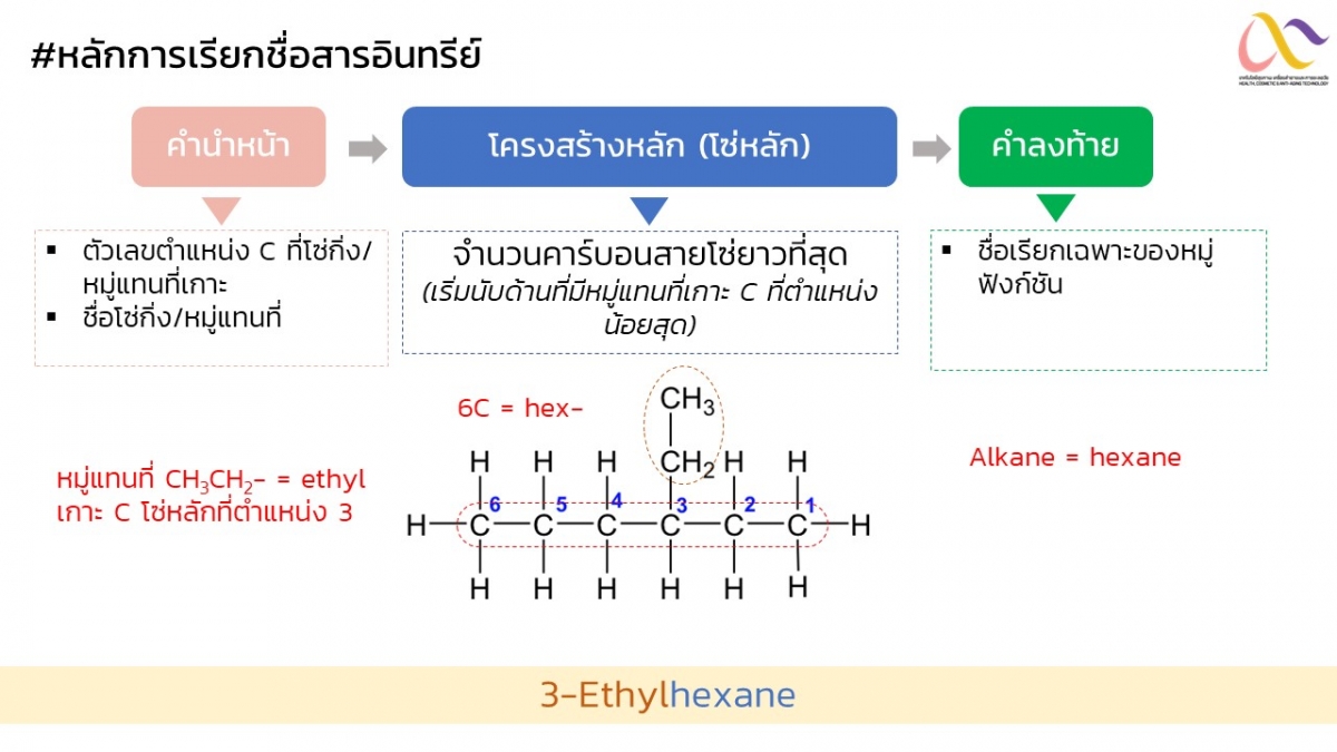 Organic-31