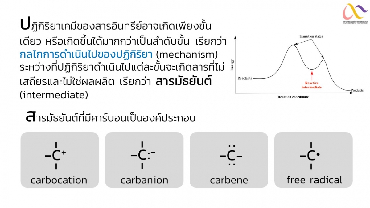 OrgReaction-3