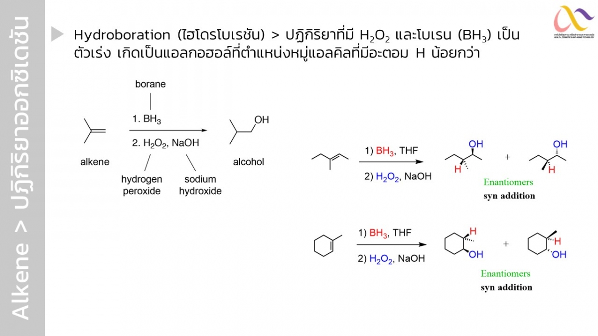 OrgReaction-35