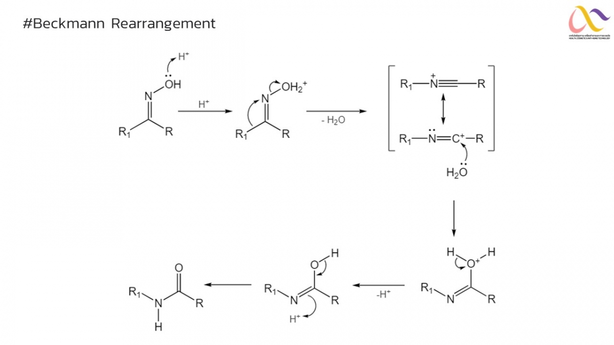 Organic-Mechanism-14