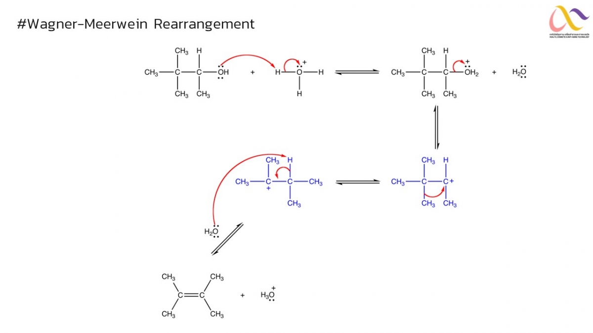 Organic-Mechanism-15