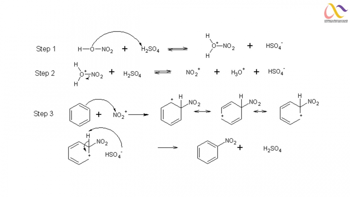 Organic-Mechanism-6