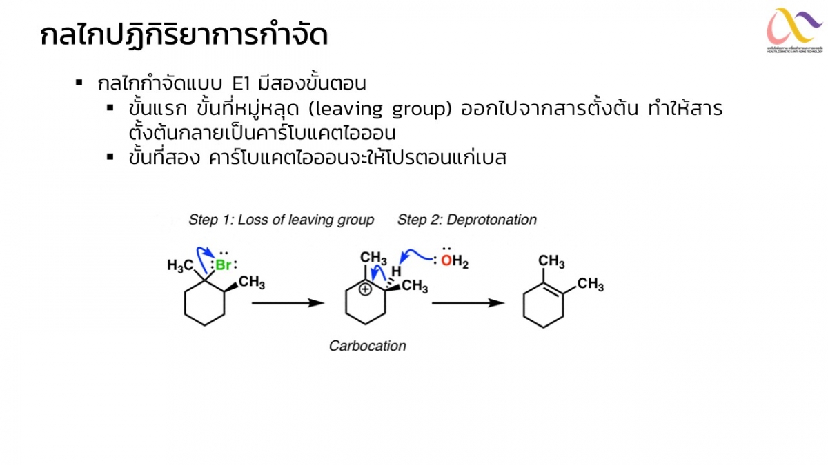 Organic-Mechanism-9