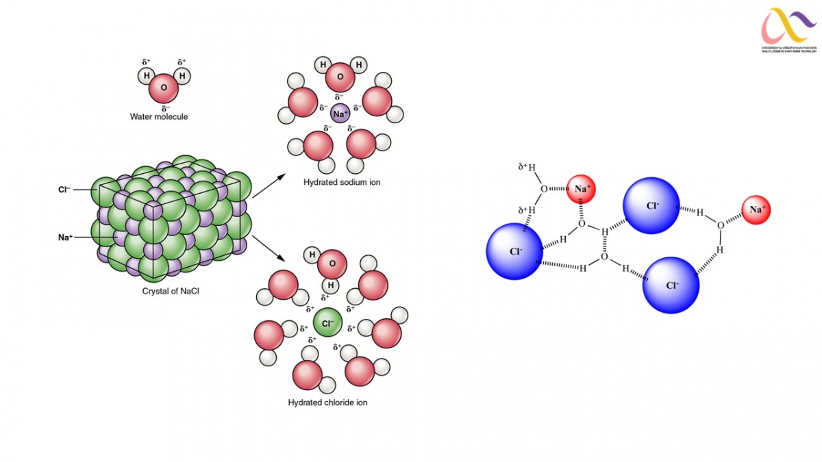 Solubility Effects