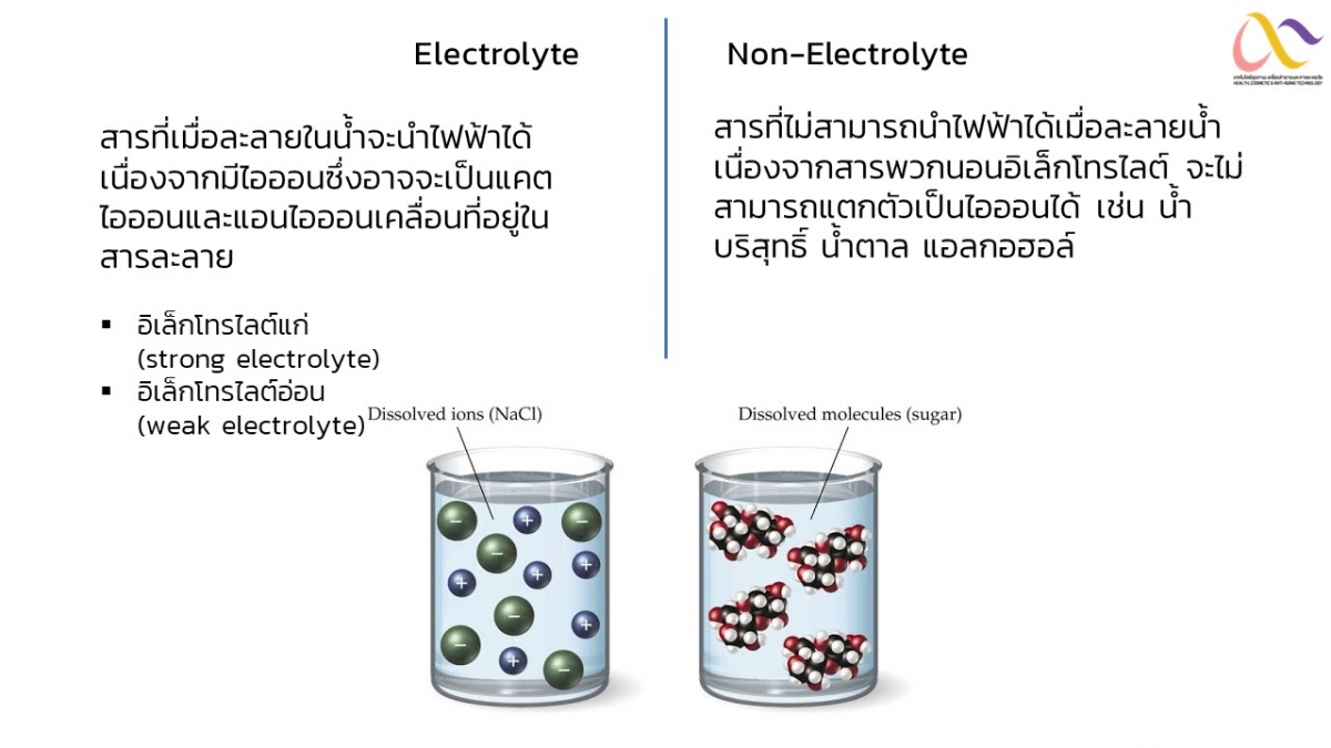 Electrolyte Solution